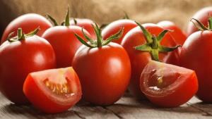 تولید داروی سرطان از گوجه‌فرنگی و سیب‌زمینی