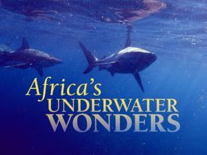 پخش مستندی از «شگفتی‌های دنیای زیر آب آفریقا»